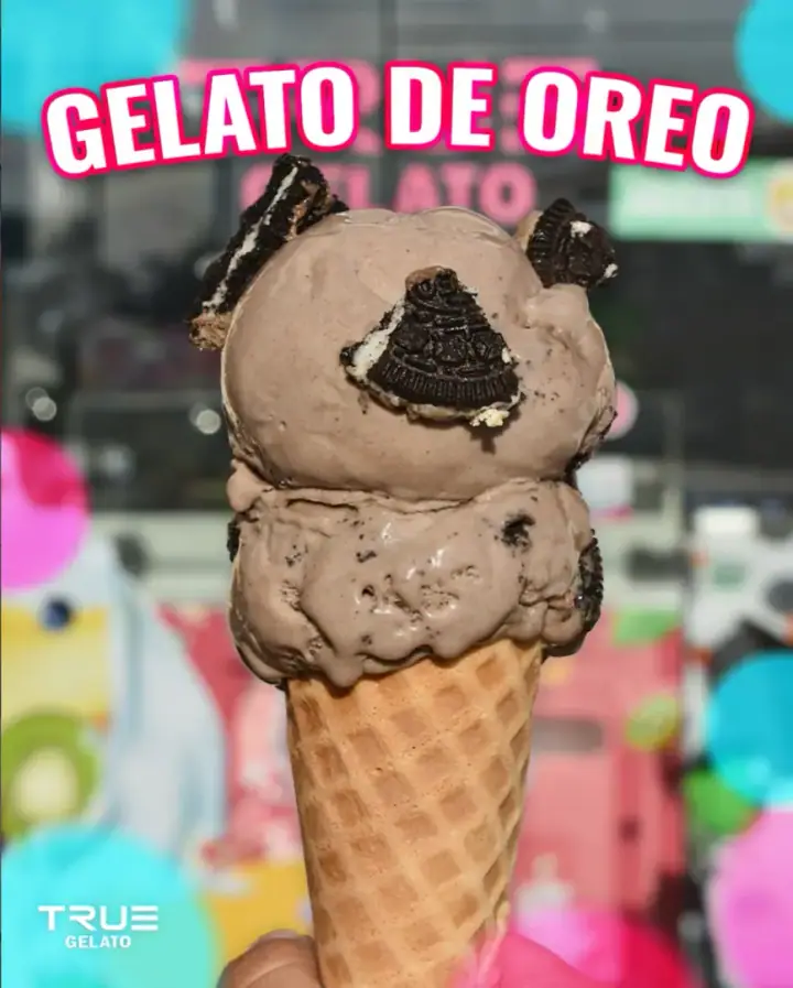 Imagen 11